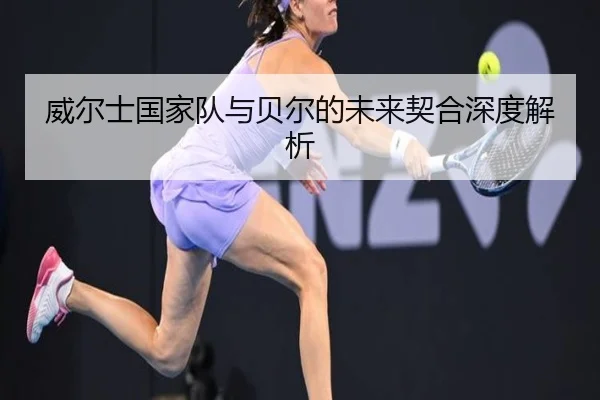 威尔士国家队与贝尔的未来契合深度解析（youde88）